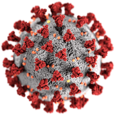 Coronavirus representation